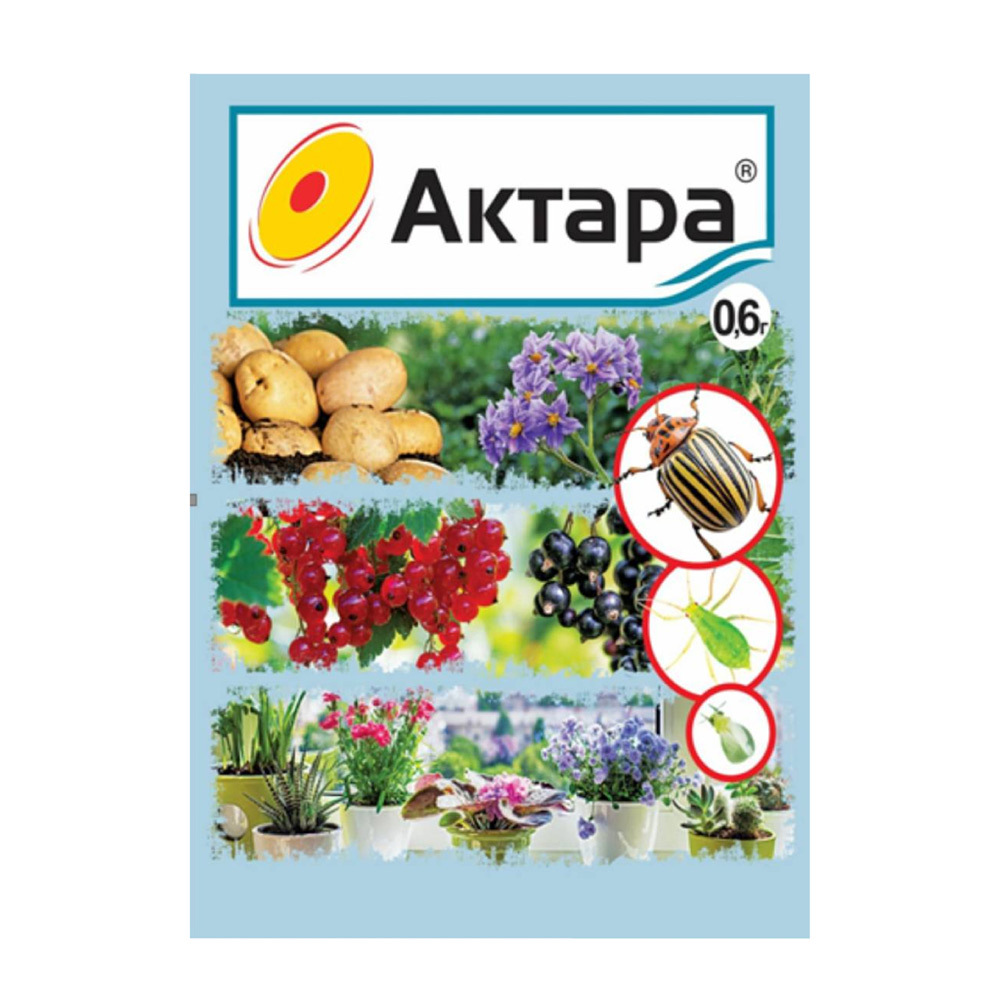 original-5944.jpg Изображение товара 1052365