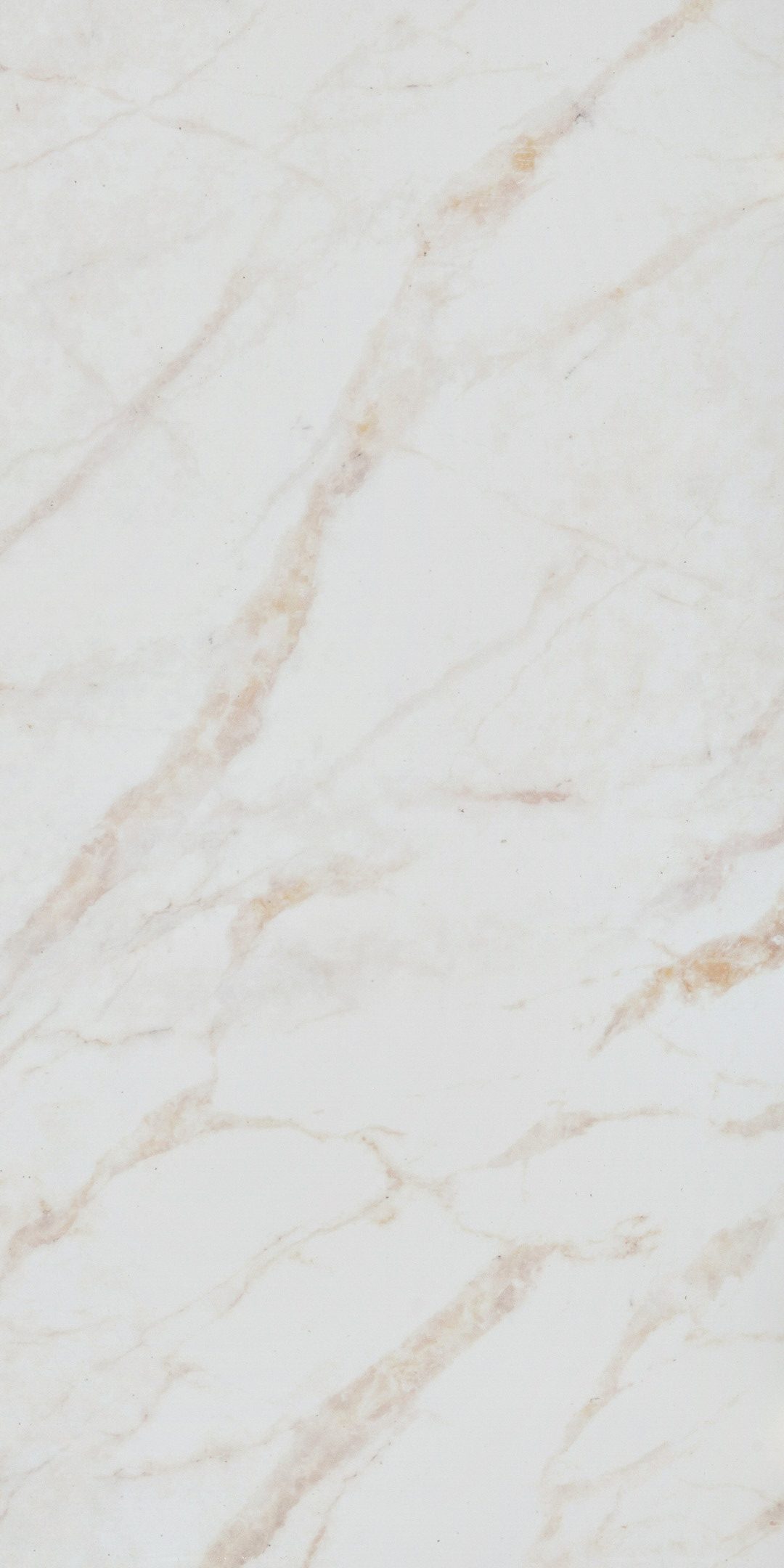 original-4223.jpg Изображение товара 1081298